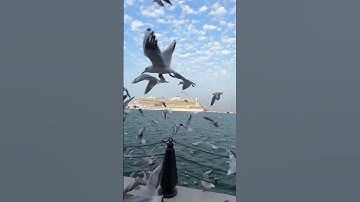 القرآن الكريم ماشاء الله تبارك الرحمن صوة تقشعر له ابدان #اكسبلور #المصحف #اكسبلور  #لايك #الرحمن