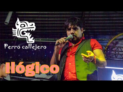 Perro callejero 