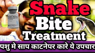 Snake Bite Treatment in Animals | गाई भैस को साप काटने पार करे इलाज | Snake Bite in Cattle Buffalo