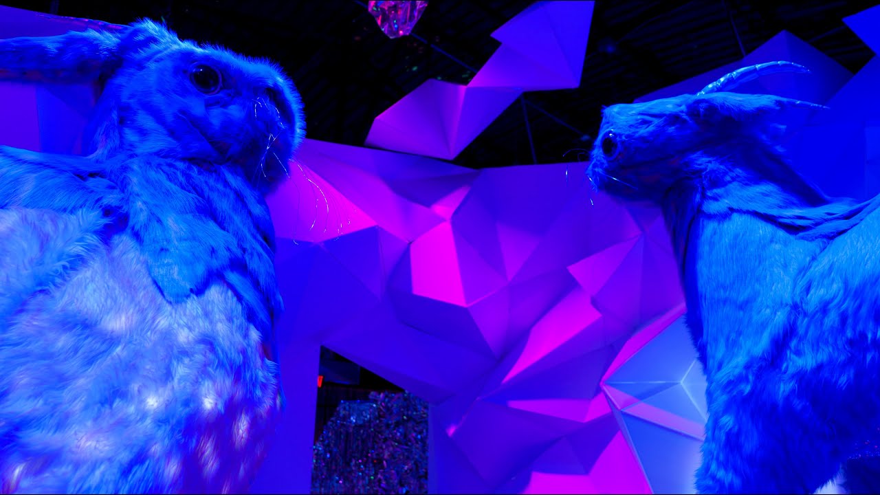 Tour of Time Slip at Factory Obscura #okc #artexperience #art