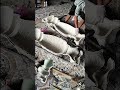 Complete Process: Making a Silicone Mold to Casting a Composite Piggy 🐷
