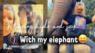 Hide and seek with an elephant