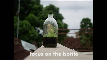 Panasonic Lumix GX85 Post Focus Feature