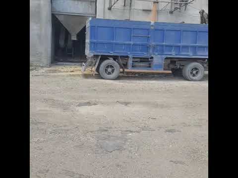 Экспорт Пшеницы из