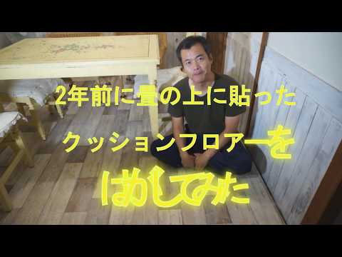 畳の上ページ 楽天市場】防虫シート 1畳 4畳 6畳 8畳 12畳 畳下 畳防虫シート