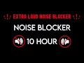 Loud noise blocker  10 hours