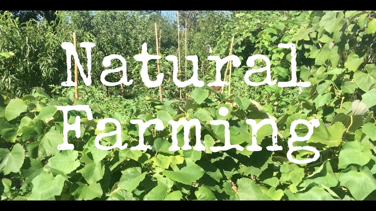 natural farming a functional
