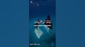 تلاوة من سورة الشورى بصوت القارئ سعد أزويت