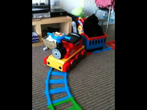 Cat on a train