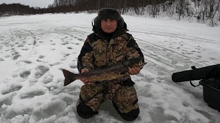 НОВЫЕ МЕСТА РАДУЮТ УЛОВОМ / WINTER FISHING