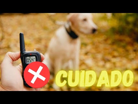 Vídeo: Coleiras de choque do cão são prejudiciais? Os perigos do treinamento de E-Collar