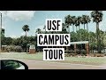 USF CAMPUS DRIVING TOUR ✩ university of south florida