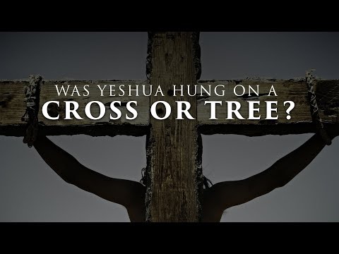 Video: Was het kruis een boom?