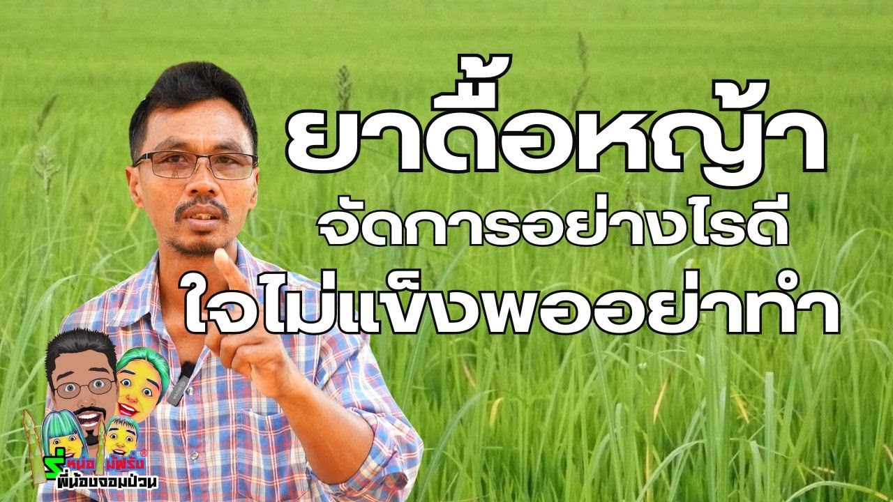อาจารย์ช่วยหน่อครับหญ้าดื้อยาในนาข้าวเพียบเลยจัดการอย่างไรดี