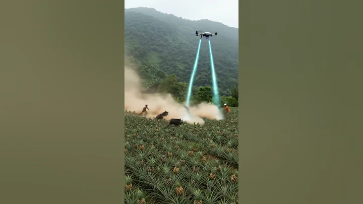 Drone vs Wild Boars: Futuristic Tech Saves Pineapple Farm!