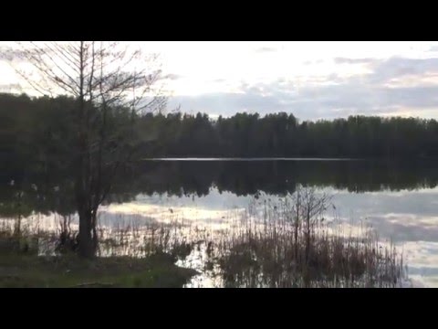 Покатушки на квадроциклах.