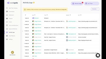 Workpuls | Activity Logs Demo