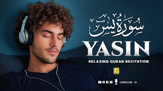 Viral Surah Yasin (Yaseen) سورة يس | Calming Relaxing Soft Voice | Zikrullah Tv