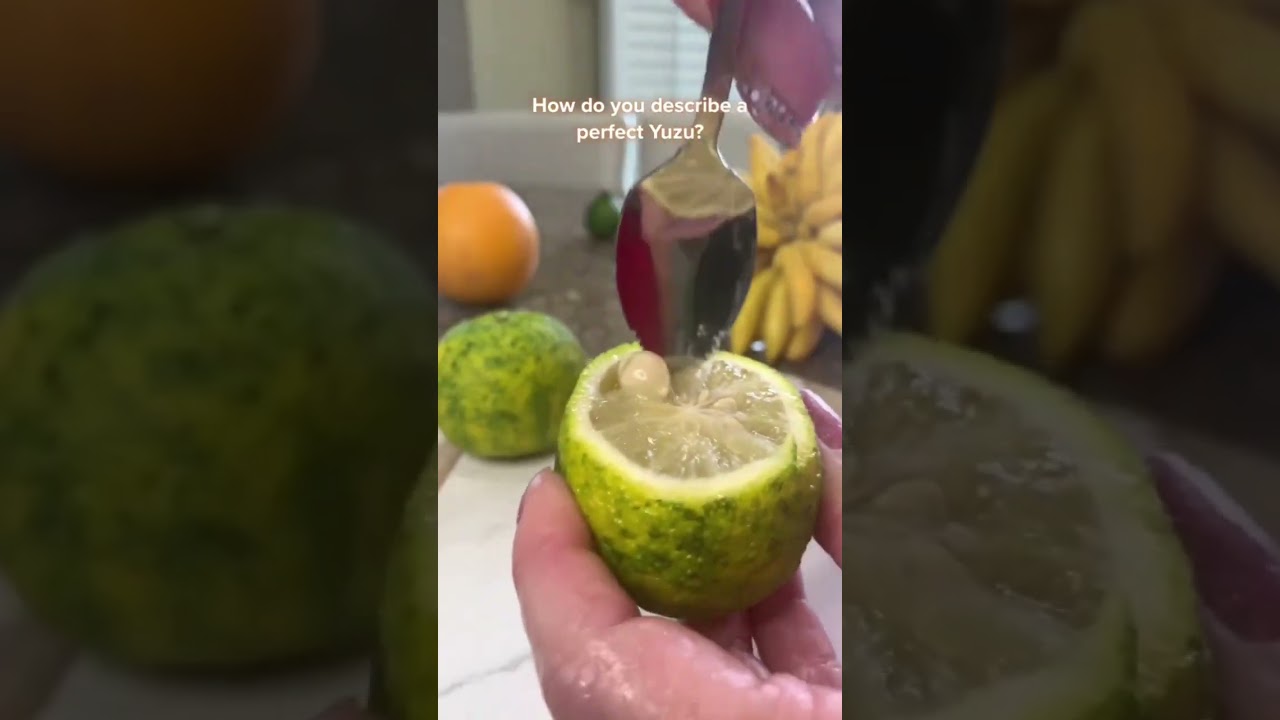 Yuzu