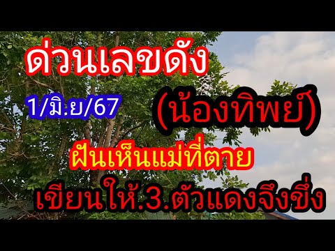 ผลสลากกินแบ่งรัฐบาล วันที่ 1 พย. 2567 ผลสลากกินแบ่งรัฐบาล วันที่ 1 พย. 2567