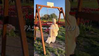 Download Lagu ZAHEEN - ANAK ILU (COVER) MP3 Download Lagu ZAHEEN - ANAK ILU (COVER) MP3