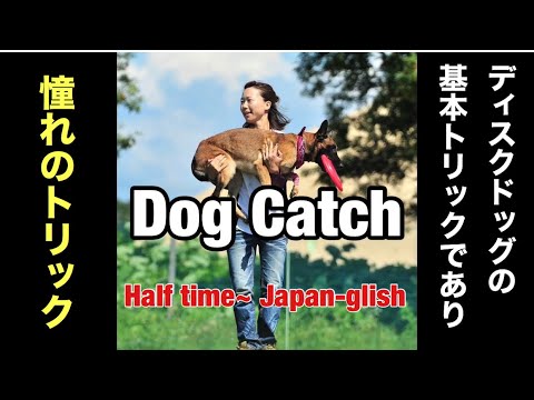 Discdog 6 憧れるドッグキャッチ 世界チャンピオンの教え方 Kosuke Greedy How To Teach Dog Catch Japan Glish Youtube