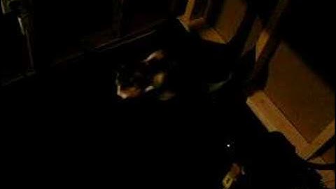 haley trots on treadmill