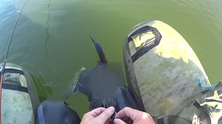 Craziest catch ever!!!