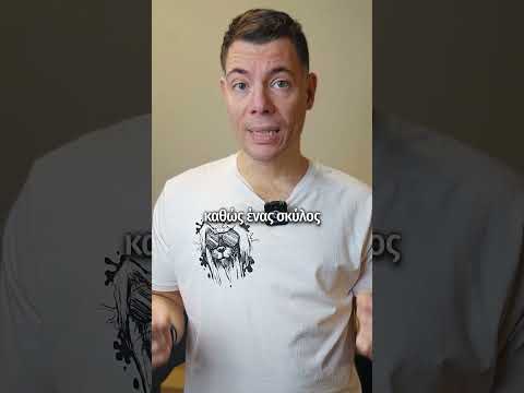 Το Πρόγραμμα στην