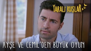 Ayşe ve Cemil'den Büyük Oyun | Yaralı Kuşlar 79.  Resimi