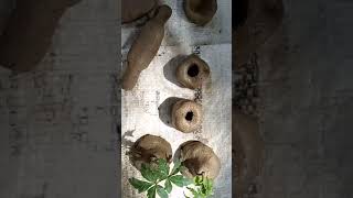 Matti K Khlony Shorts