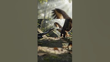 Eagle vs Snake: Jungle Action Moment