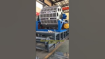 ​high capacity egg tray machine​​—​​low investment #machine #factoryproducts #business