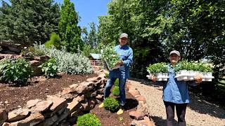 Planting Big Annual Color Around My Parent’s Pool & Back Property Update! 🧡💙💛 // Garden Answer