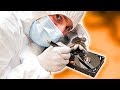 REAL Data Recovery - Linus Swaps Hard Drive Actuator!