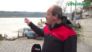 Uluabat Gölü'nde 10 yıldır görülmeyen oldu