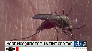 Rainfall totals and rising temperatures mean more mosquitos this year