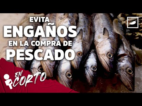 Que no te chamaqueen: Profeco emite alerta por pescado pirata