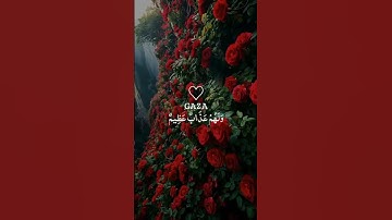 إِنَّ ٱلّذِينَ يَرۡمُونَ ٱلۡمحۡصنَٰتِ🤍سورة النور#تلاوة #القارئ #ماهر_المعيقلي