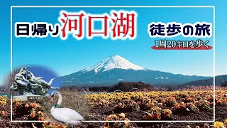 【過酷⁉︎】1周20キロの河口湖を徒歩で周る。日帰り観光の魅力とは？【山梨県 富士五湖最大の湖】