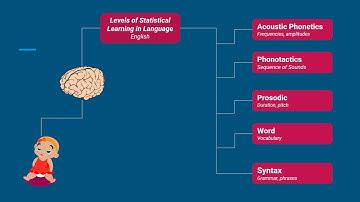 Statistical Learning in Bilingual Language Development