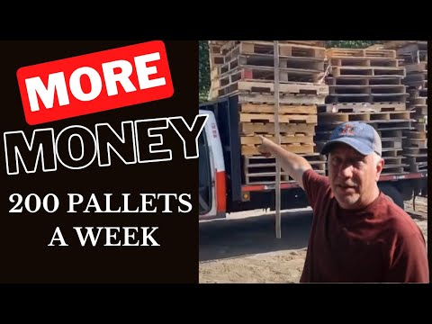 Video: Hvor mange klosser er det i en pall – du må vite dette for å transportere last