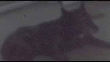 Camera Obscura - Sample of lensless video made using a low-cost, low-light video camera