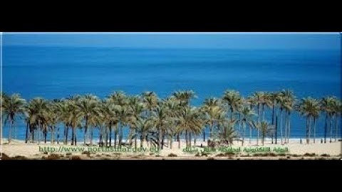 عمر الدريويز سورة     نوح