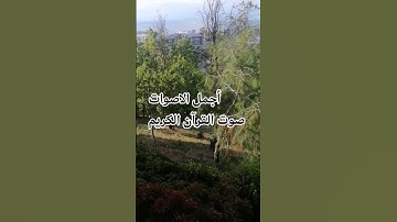 قران كريم بصوت جميل سورة الشعراء اللهم اجعل القرآن ربيع قلوبنا ونور صدورنا# راحة_نفسية تلاوه خاشعة 😍
