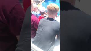 06/11/18 - Seaworld14