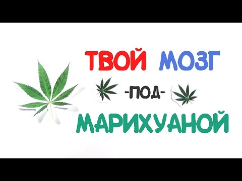 Loading video
