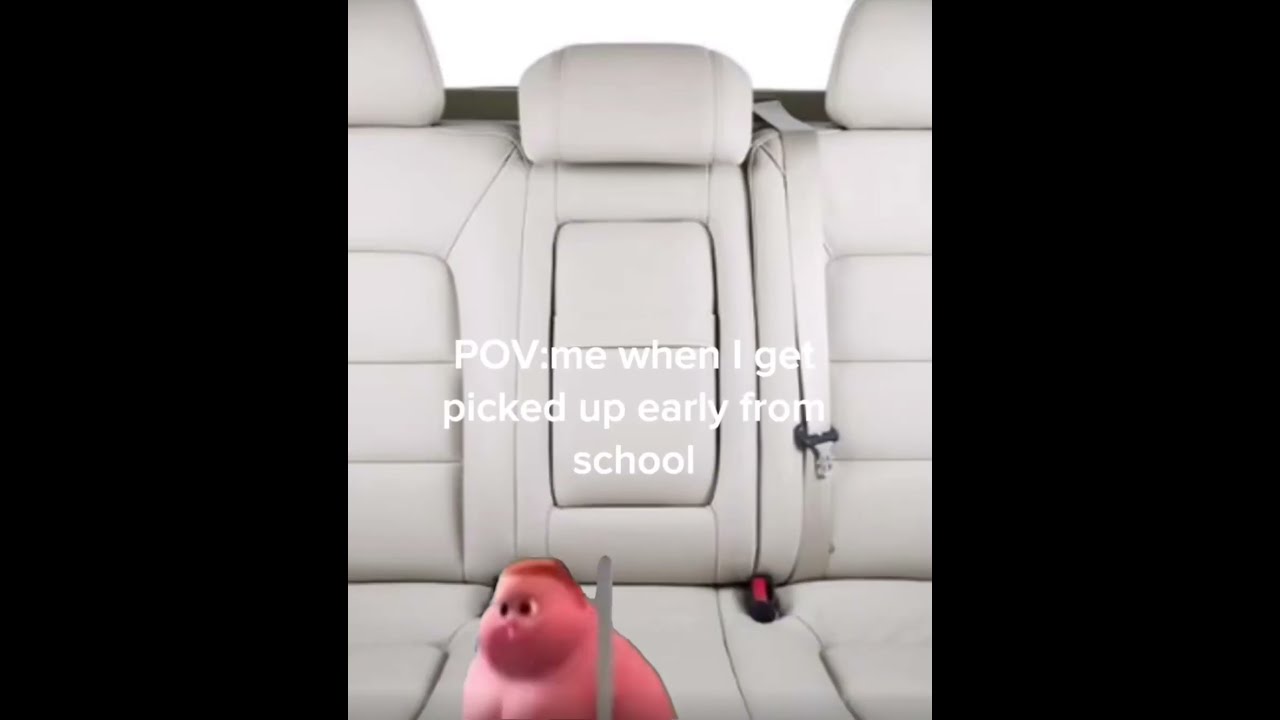 POV Me When I Get Picked Up Early From School Fyp Funny