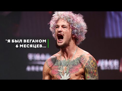 Чудные Правила Жизни Шона О'Мэлли