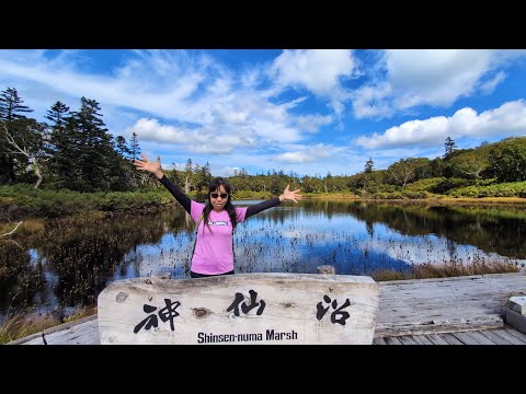 白樺山　神仙沼　トレッキングツアー　ショートムービー　2024年9月14日